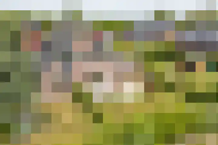 Veldzicht 9 Loppersum thumbnail 11
