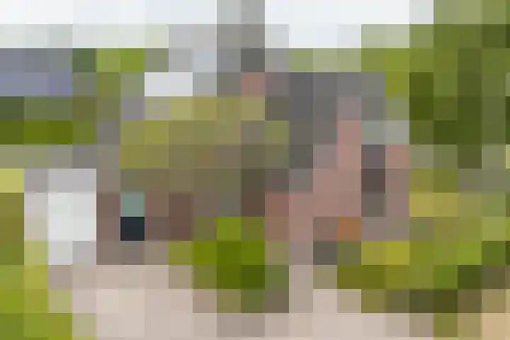 Veldzicht 9 Loppersum thumbnail 13