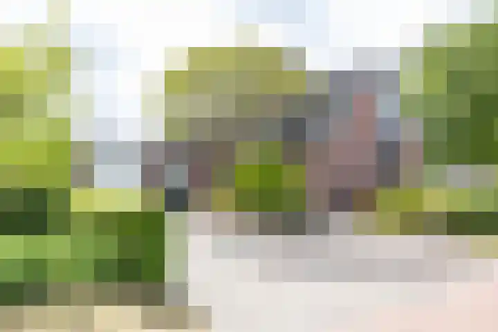 Veldzicht 9 Loppersum thumbnail 14