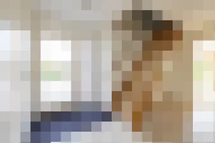 Veldzicht 9 Loppersum thumbnail 17