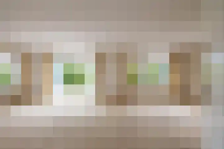 Veldzicht 9 Loppersum thumbnail 19