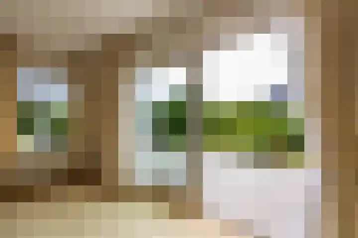 Veldzicht 9 Loppersum thumbnail 27