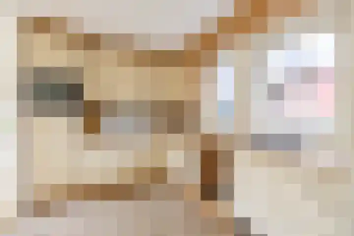 Veldzicht 9 Loppersum thumbnail 31