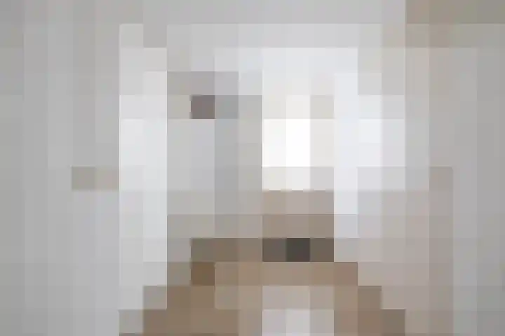 Veldzicht 9 Loppersum thumbnail 34