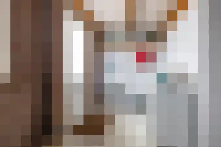 Veldzicht 9 Loppersum thumbnail 37