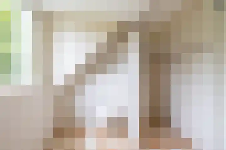 Veldzicht 9 Loppersum thumbnail 6