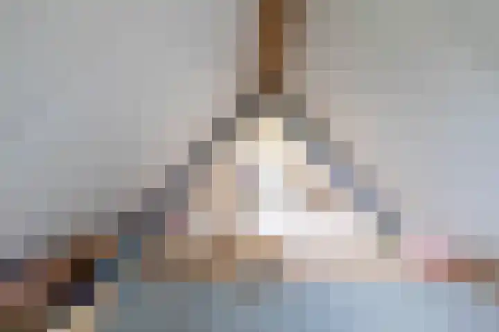 Veldzicht 9 Loppersum thumbnail 61