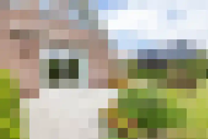 Veldzicht 9 Loppersum thumbnail 63