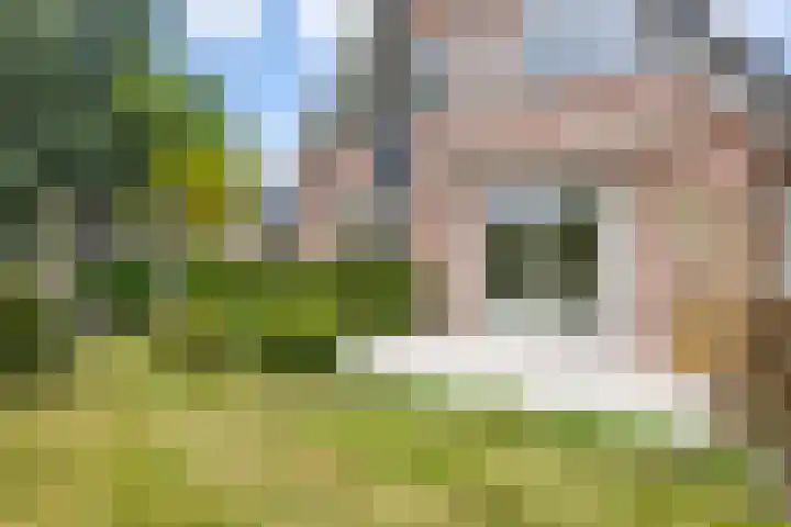 Veldzicht 9 Loppersum thumbnail 64