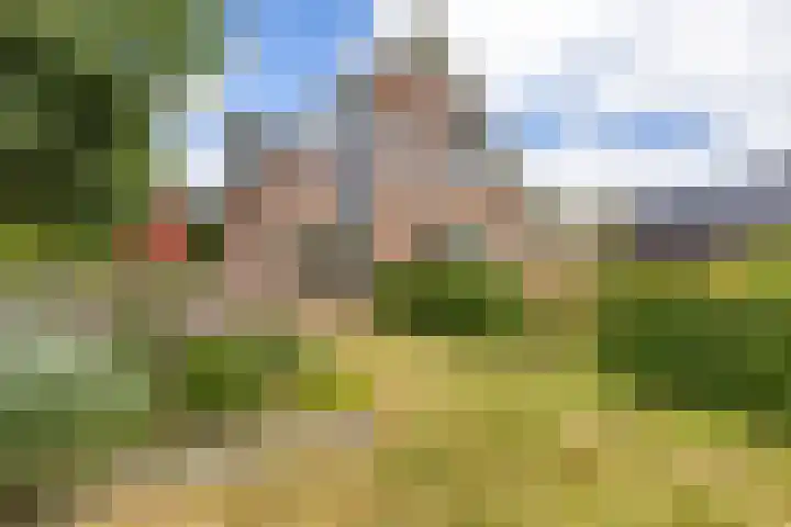 Veldzicht 9 Loppersum thumbnail 66