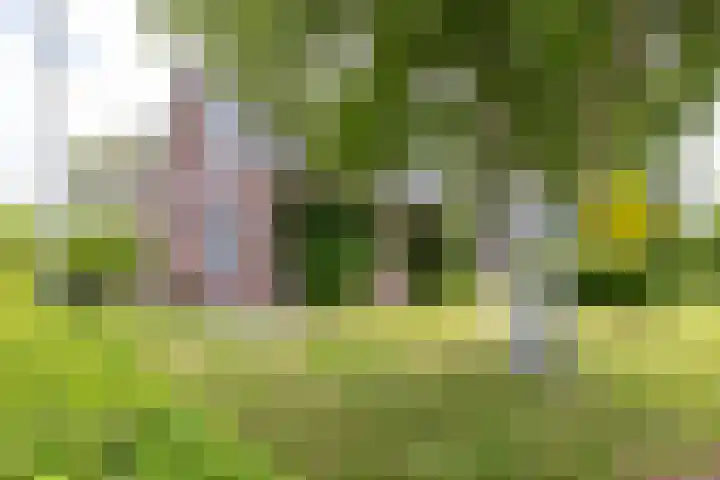 Veldzicht 9 Loppersum thumbnail 67