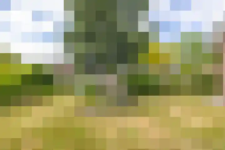 Veldzicht 9 Loppersum thumbnail 68