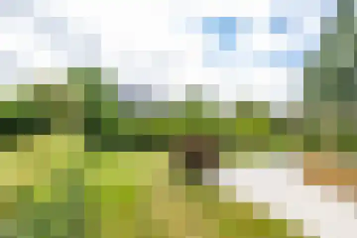 Veldzicht 9 Loppersum thumbnail 69