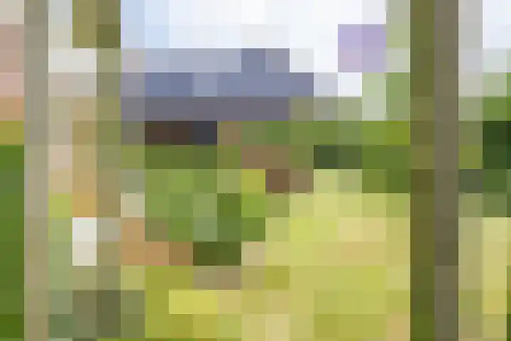 Veldzicht 9 Loppersum thumbnail 70