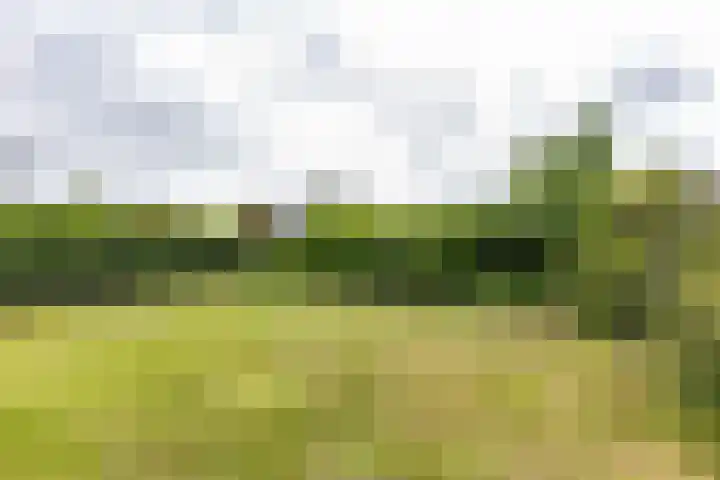 Veldzicht 9 Loppersum thumbnail 71
