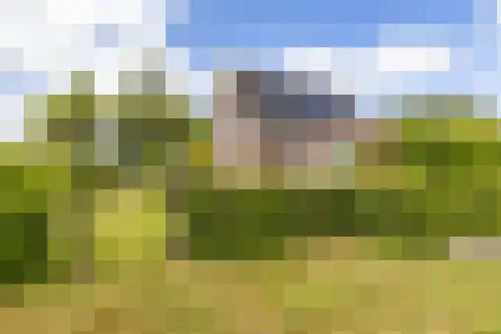 Veldzicht 9 Loppersum thumbnail 72
