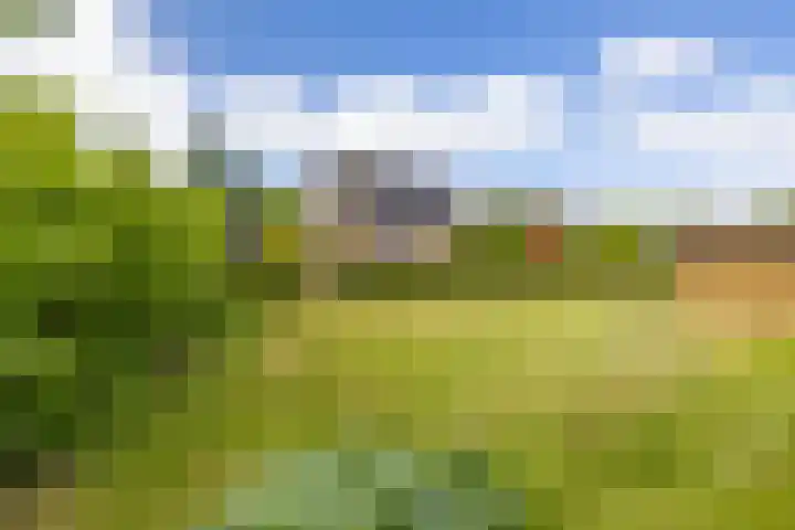 Veldzicht 9 Loppersum thumbnail 73