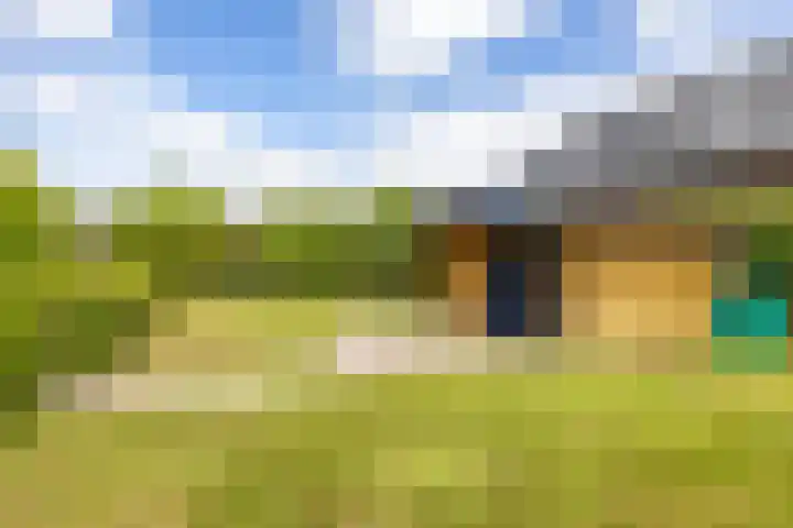 Veldzicht 9 Loppersum thumbnail 74