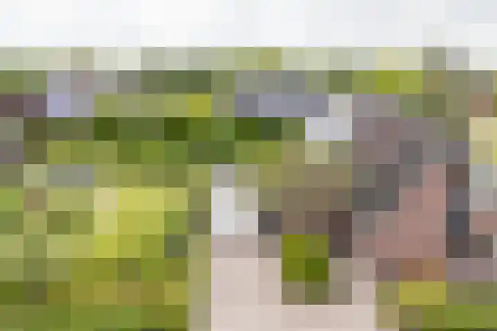 Veldzicht 9 Loppersum thumbnail 75