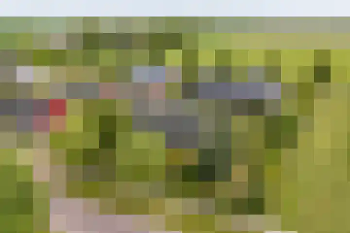 Veldzicht 9 Loppersum thumbnail 77