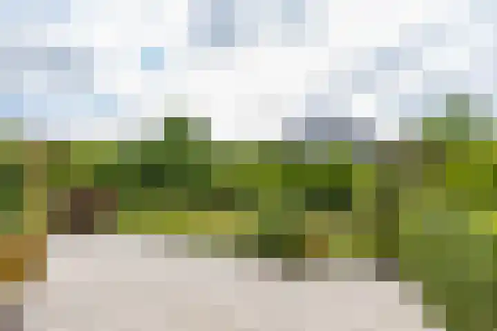 Veldzicht 9 Loppersum thumbnail 8