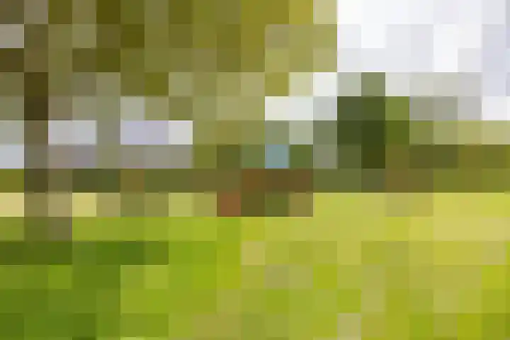 Veldzicht 9 Loppersum thumbnail 81