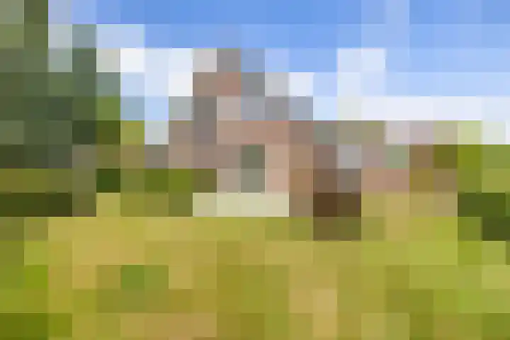 Veldzicht 9 Loppersum thumbnail 87