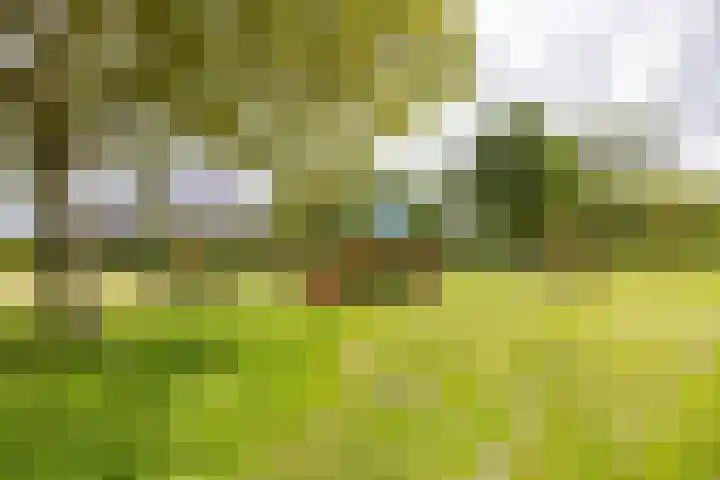 Veldzicht 9 Loppersum thumbnail 9