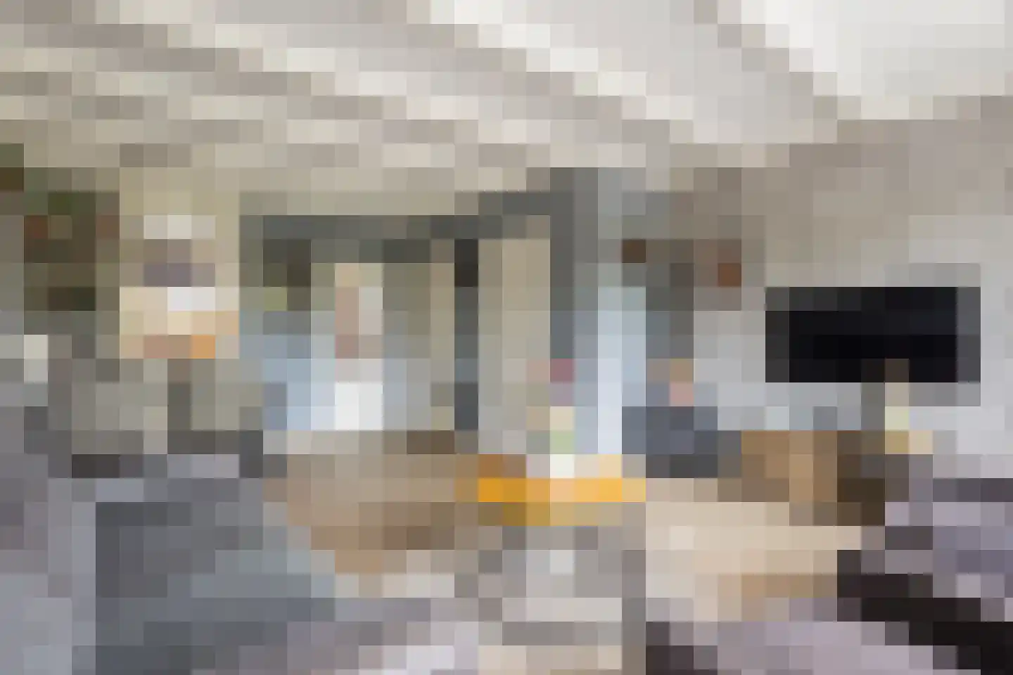 Veldzichtlaan 1 Linschoten thumbnail 13
