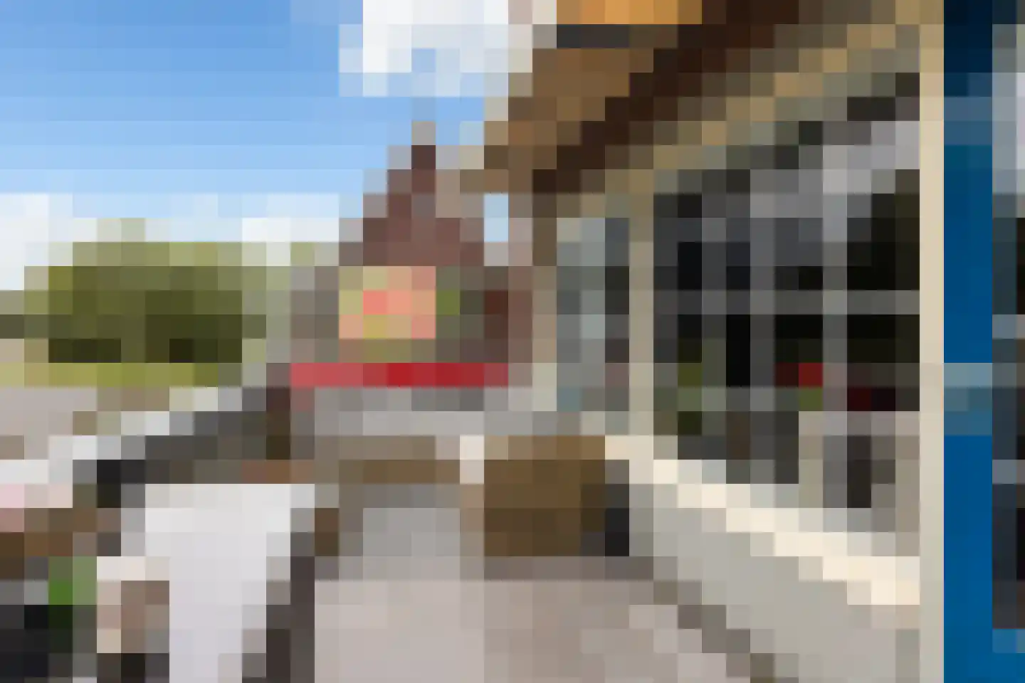 Veldzichtlaan 1 Linschoten thumbnail 18