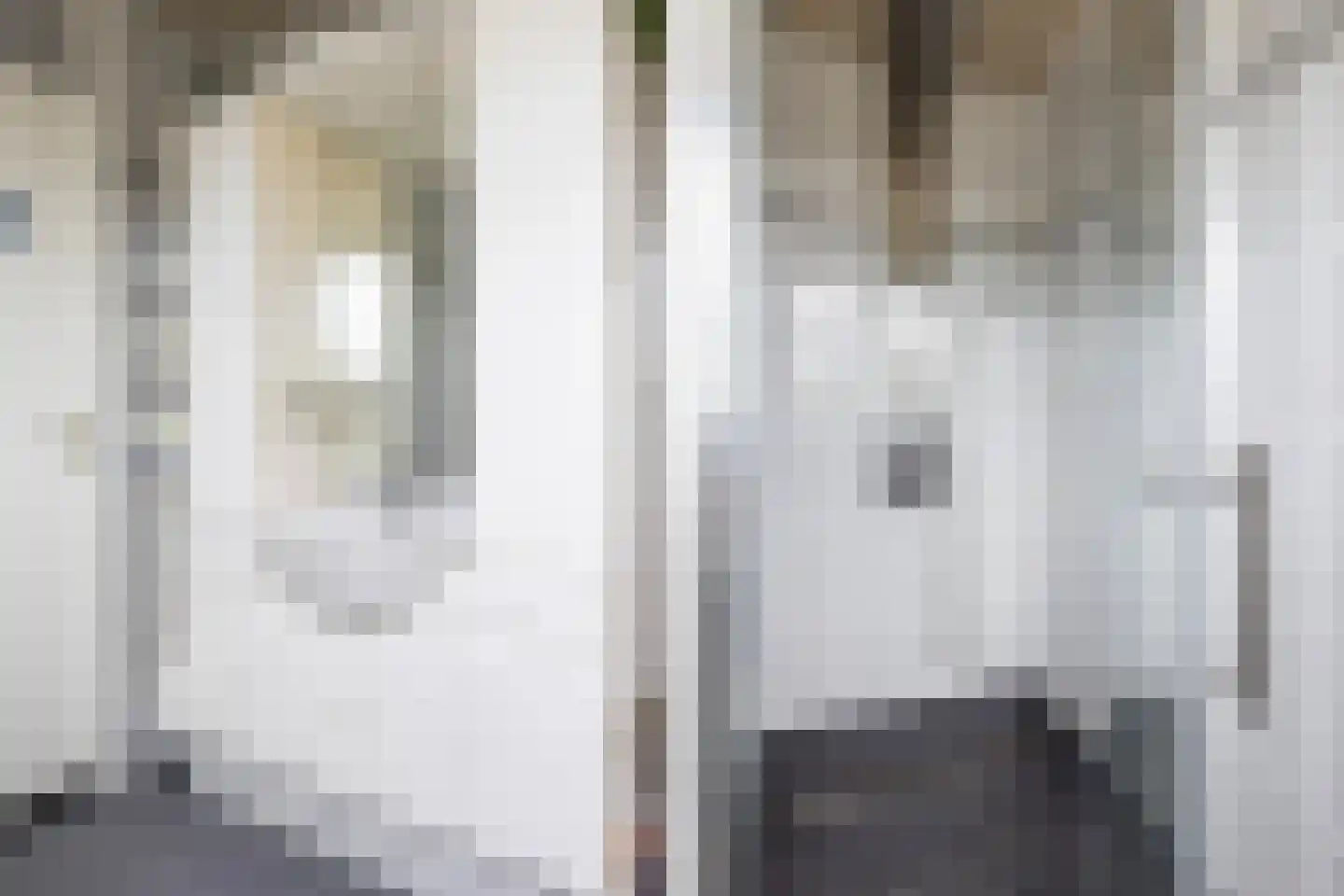 Veldzichtlaan 1 Linschoten thumbnail 30
