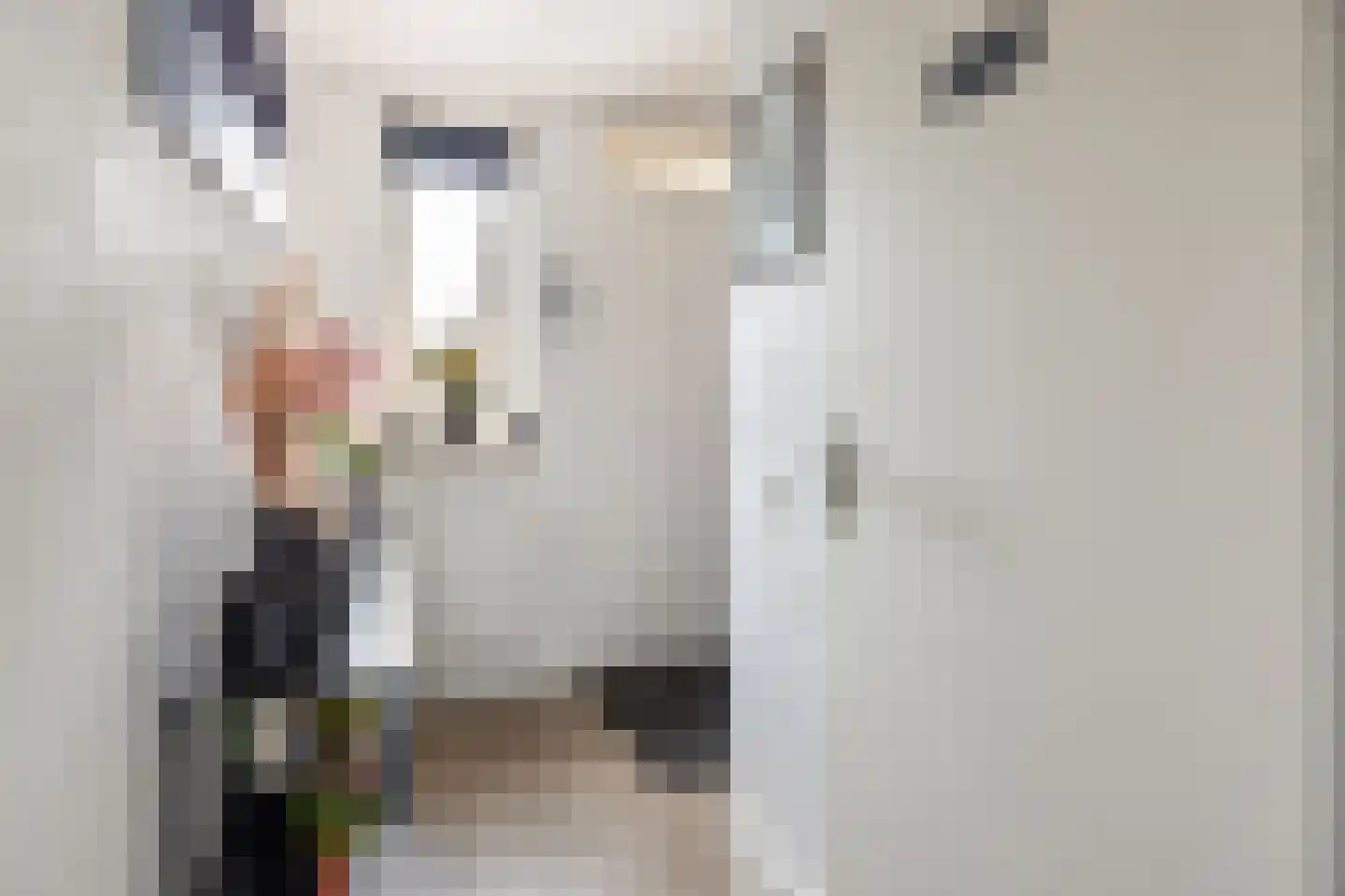 Veldzichtlaan 1 Linschoten thumbnail 8
