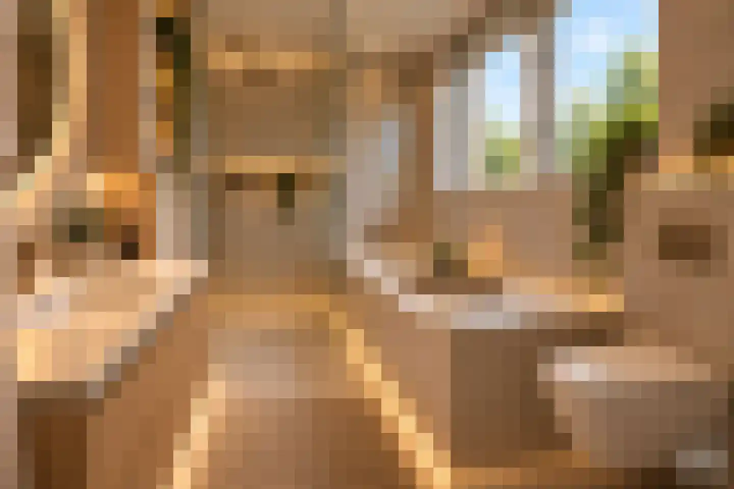 Veldzichtlaan 22 Linschoten thumbnail 28