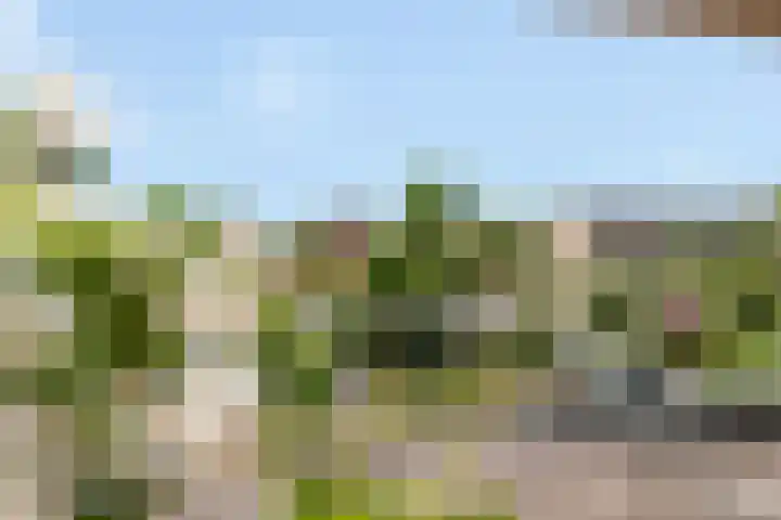 Veldzichtlaan 30 Linschoten thumbnail 11
