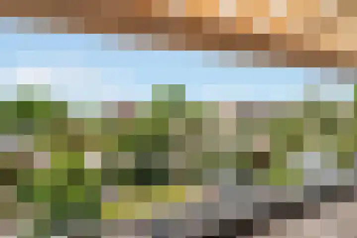 Veldzichtlaan 30 Linschoten thumbnail 12