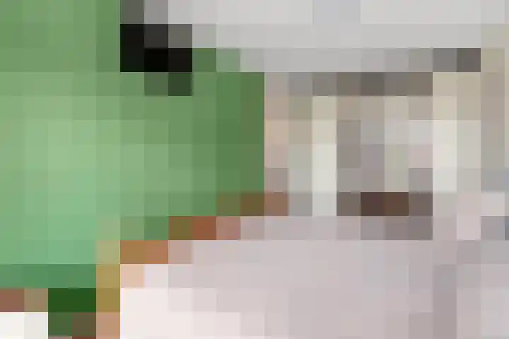 Veldzichtlaan 30 Linschoten thumbnail 18