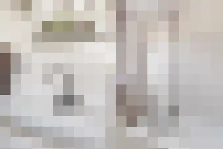 Veldzichtlaan 30 Linschoten thumbnail 21