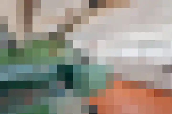 Veldzichtlaan 30 Linschoten thumbnail 23