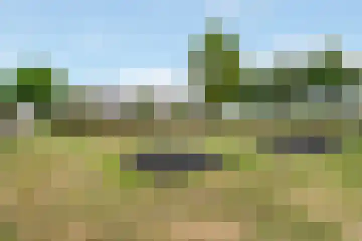 Veldzichtlaan 30 Linschoten thumbnail 28