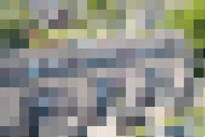 Veldzichtlaan 30 Linschoten thumbnail 31