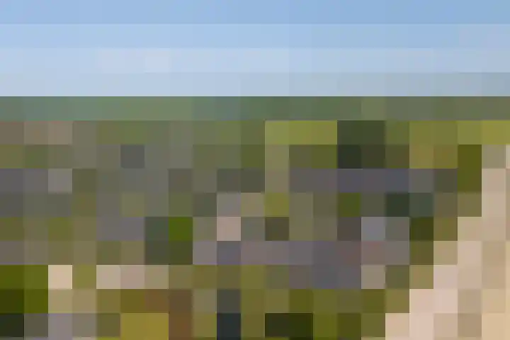 Veldzichtlaan 30 Linschoten thumbnail 32