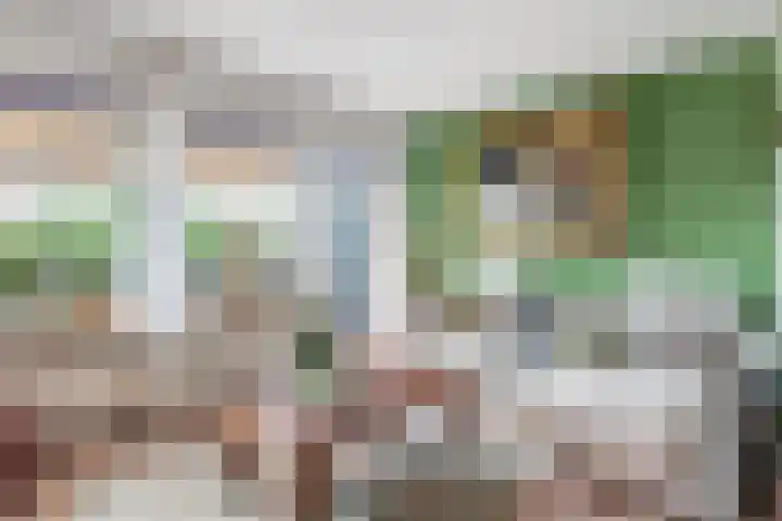 Veldzichtlaan 30 Linschoten thumbnail 9