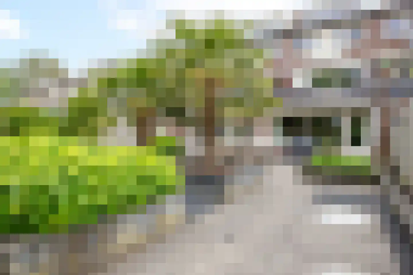 Veldzichtlaan 38 Linschoten