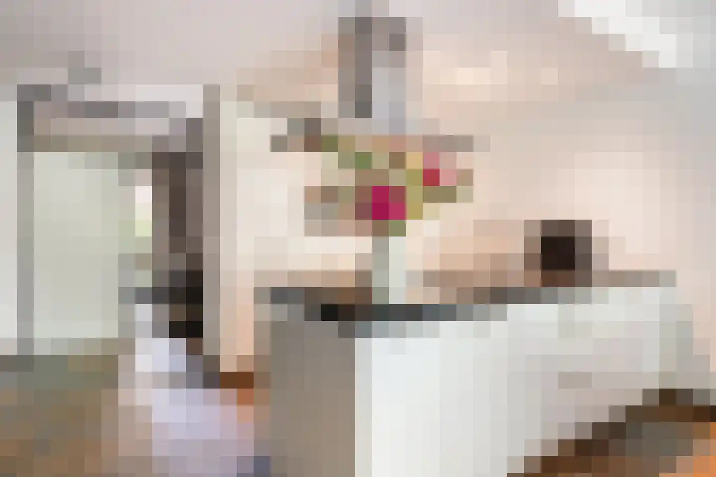 Veldzichtlaan 38 Linschoten thumbnail 10
