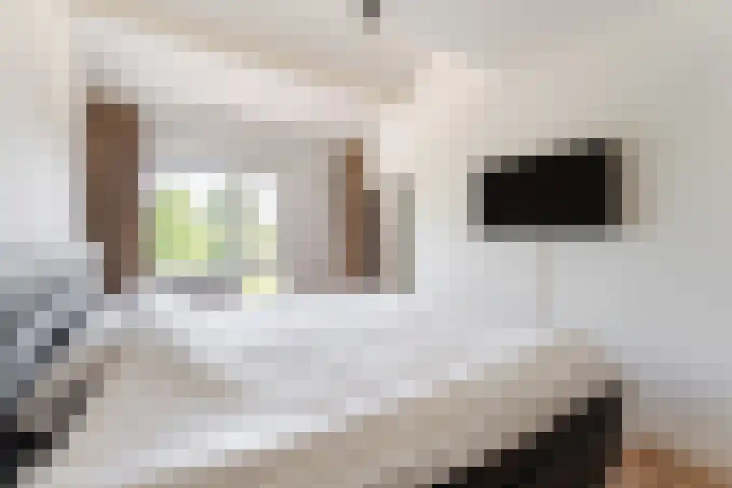 Veldzichtlaan 6 Linschoten thumbnail 20