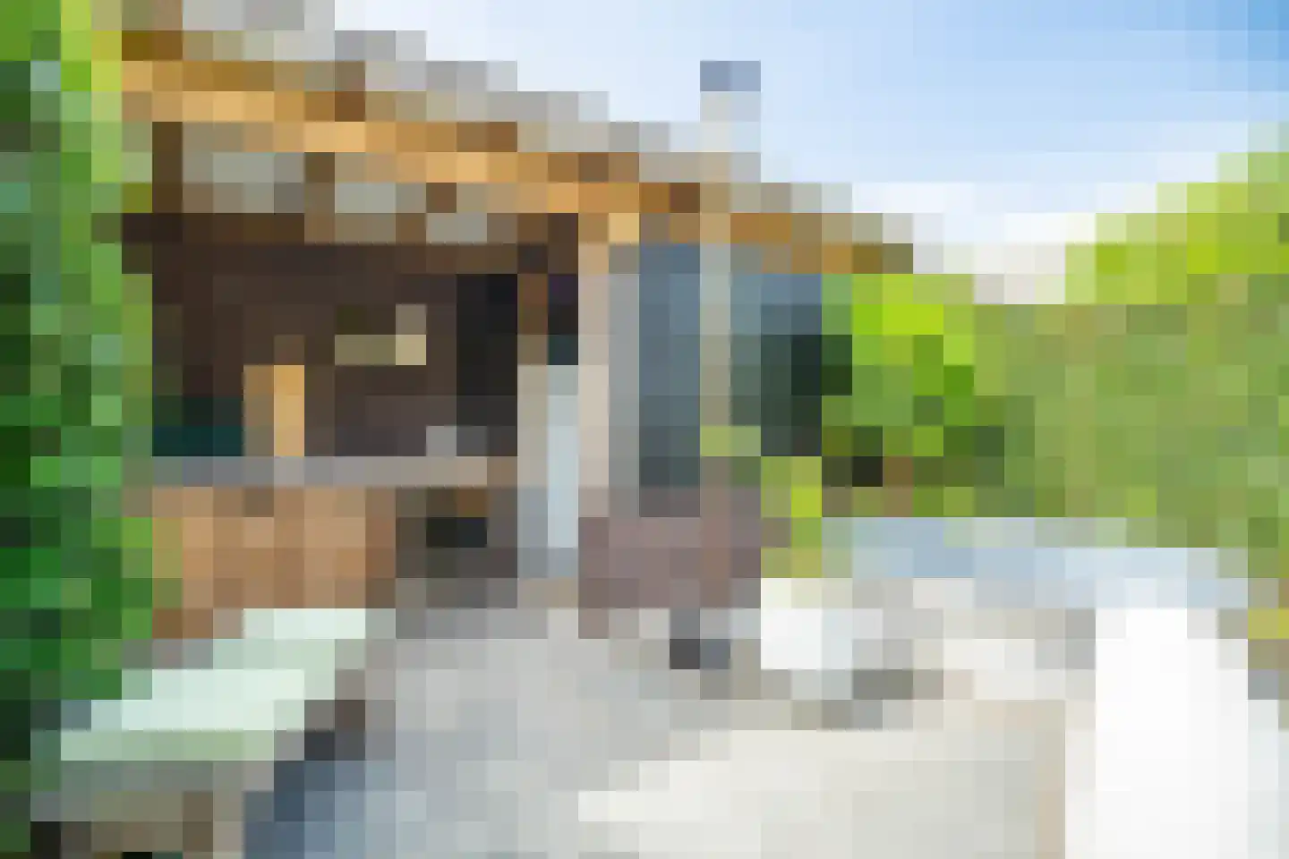 Veldzichtstraat 17 Zoeterwoude thumbnail 12