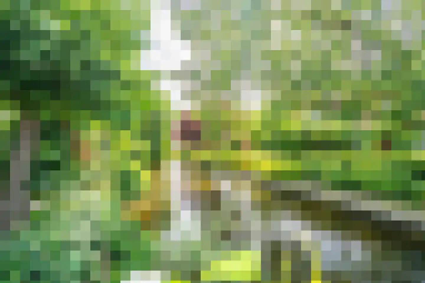 Veldzichtstraat 17 Zoeterwoude thumbnail 16