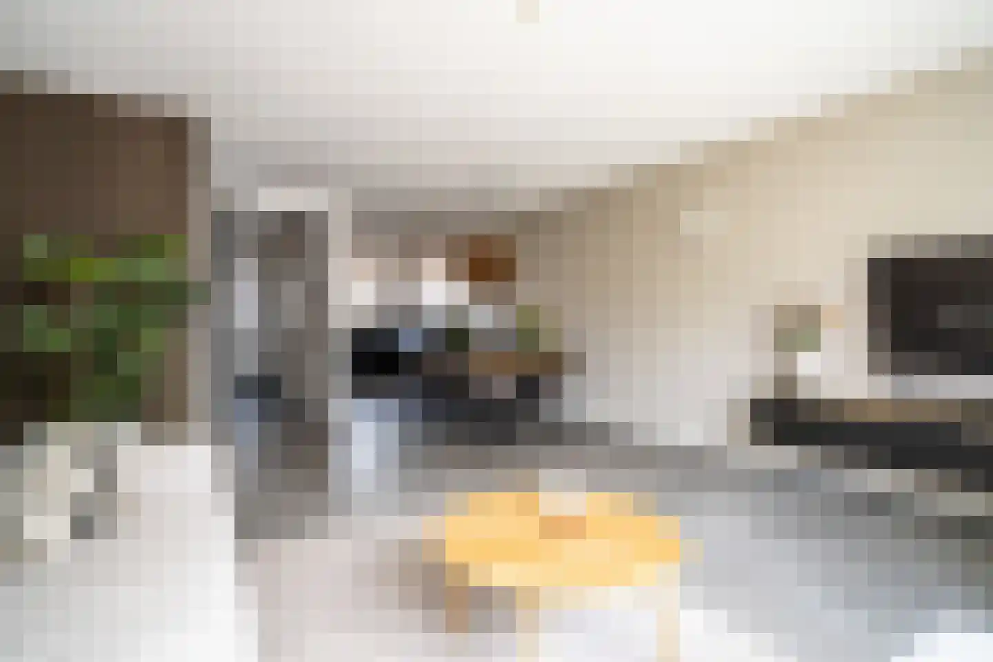 Veldzichtstraat 17 Zoeterwoude thumbnail 21