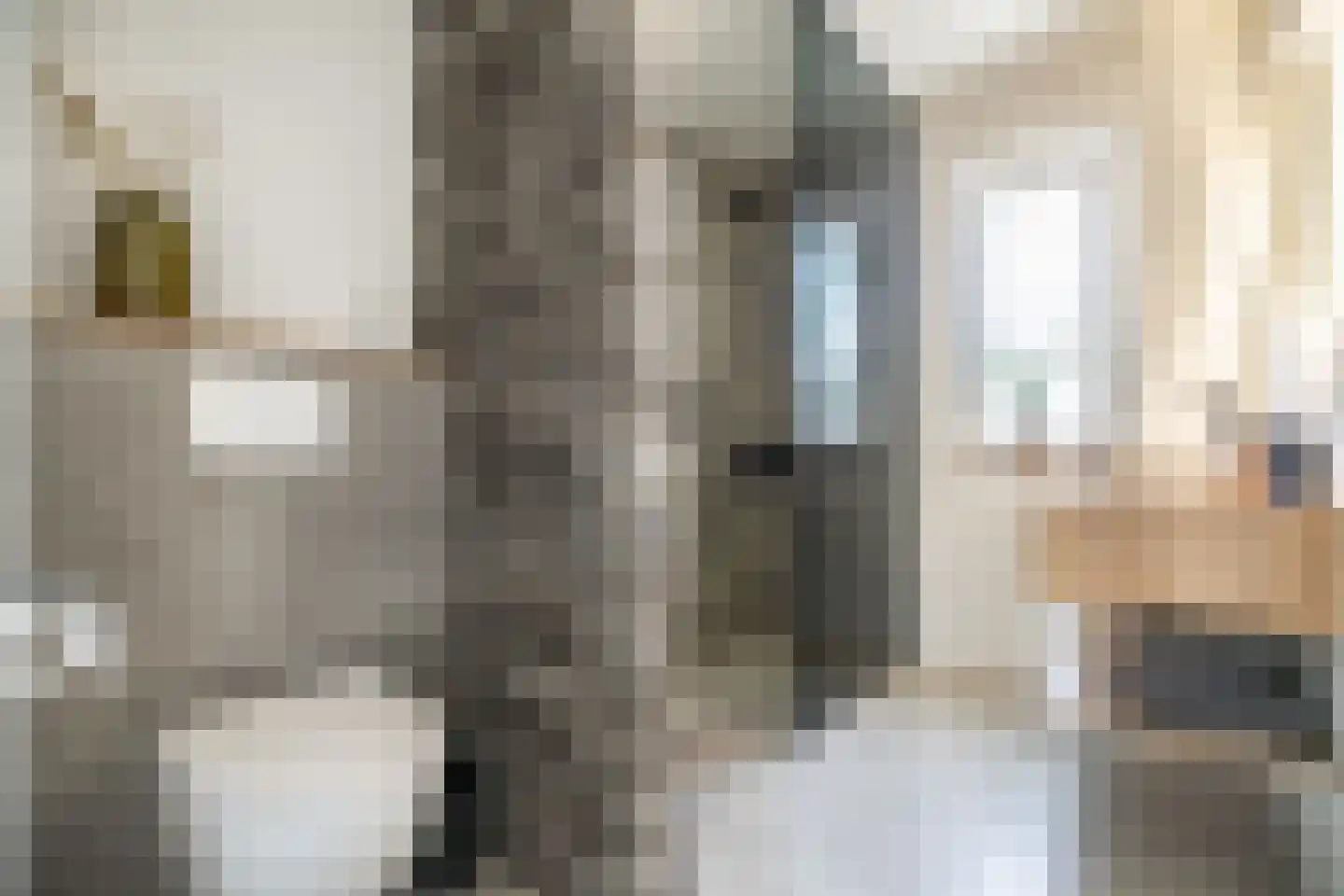 Veldzichtstraat 17 Zoeterwoude thumbnail 42