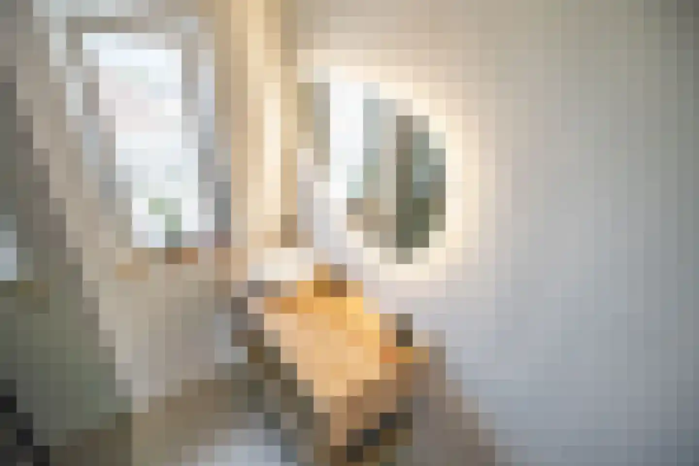 Veldzichtstraat 17 Zoeterwoude thumbnail 43